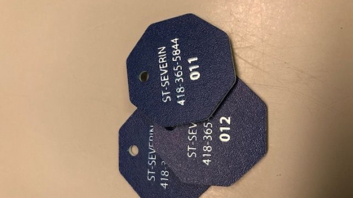 Médaille pour chiens