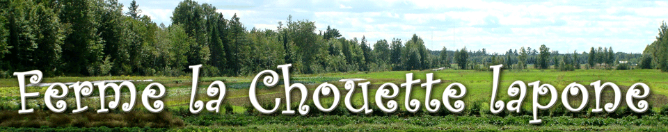 Ferme La Chouette Lapone - logo